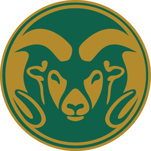 Colorado State Rams 1993-2014 Alternate Logo iron on transfers for T-shirts